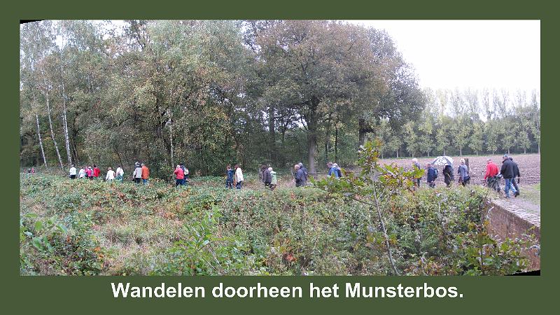 Herfstwandeling op 20-10-2013 (13).JPG
